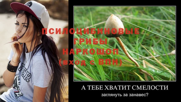 скорость Абинск
