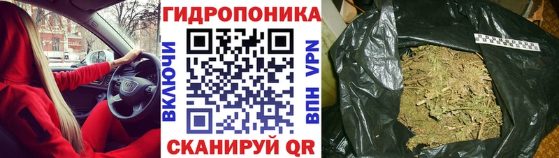 Шишки марихуана Bruce Banner  дарнет шоп  Алапаевск 